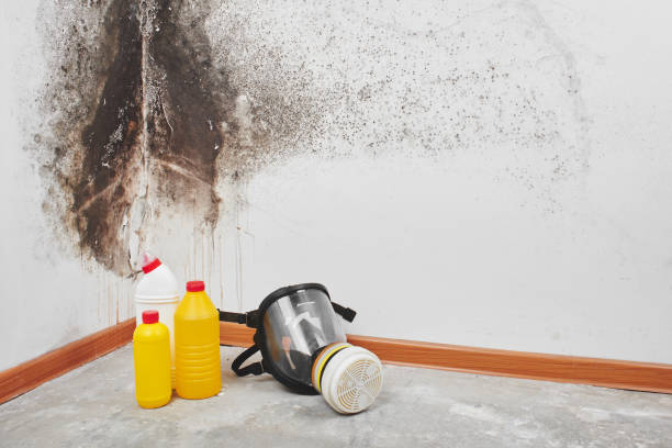 Best Residential Mold Removal  in Emporium, PA