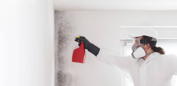 Best Mold Damage Repair  in Emporium, PA