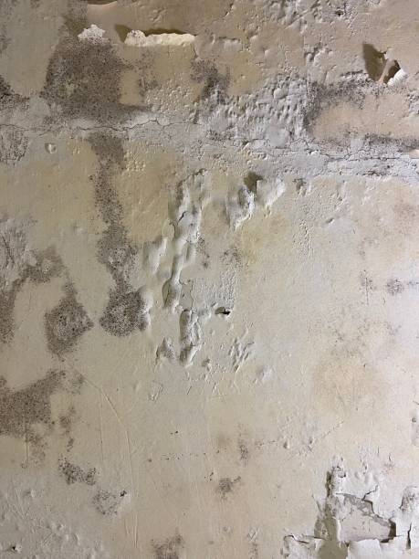 Water Damage Restoration in Emporium, PA